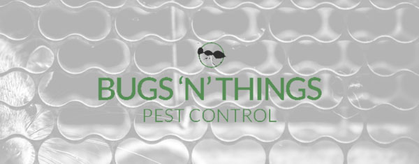Pest control bedfordshire bugs n things